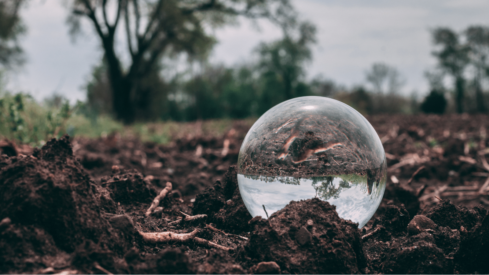 Environmental concerns